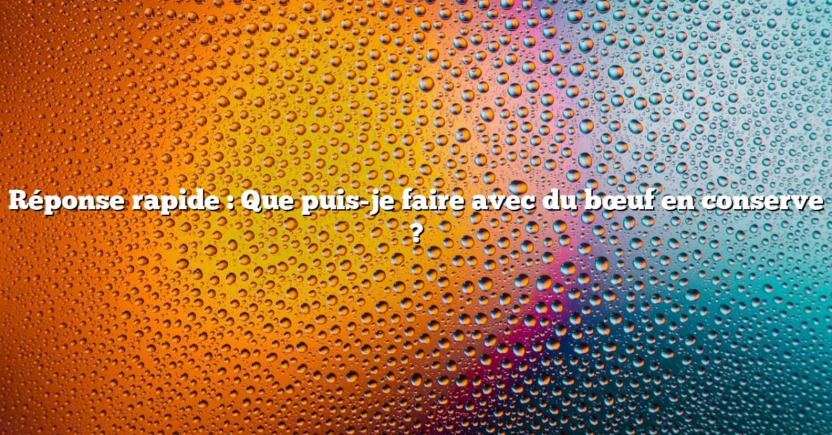 Réponse rapide : Que puis-je faire avec du bœuf en conserve ?